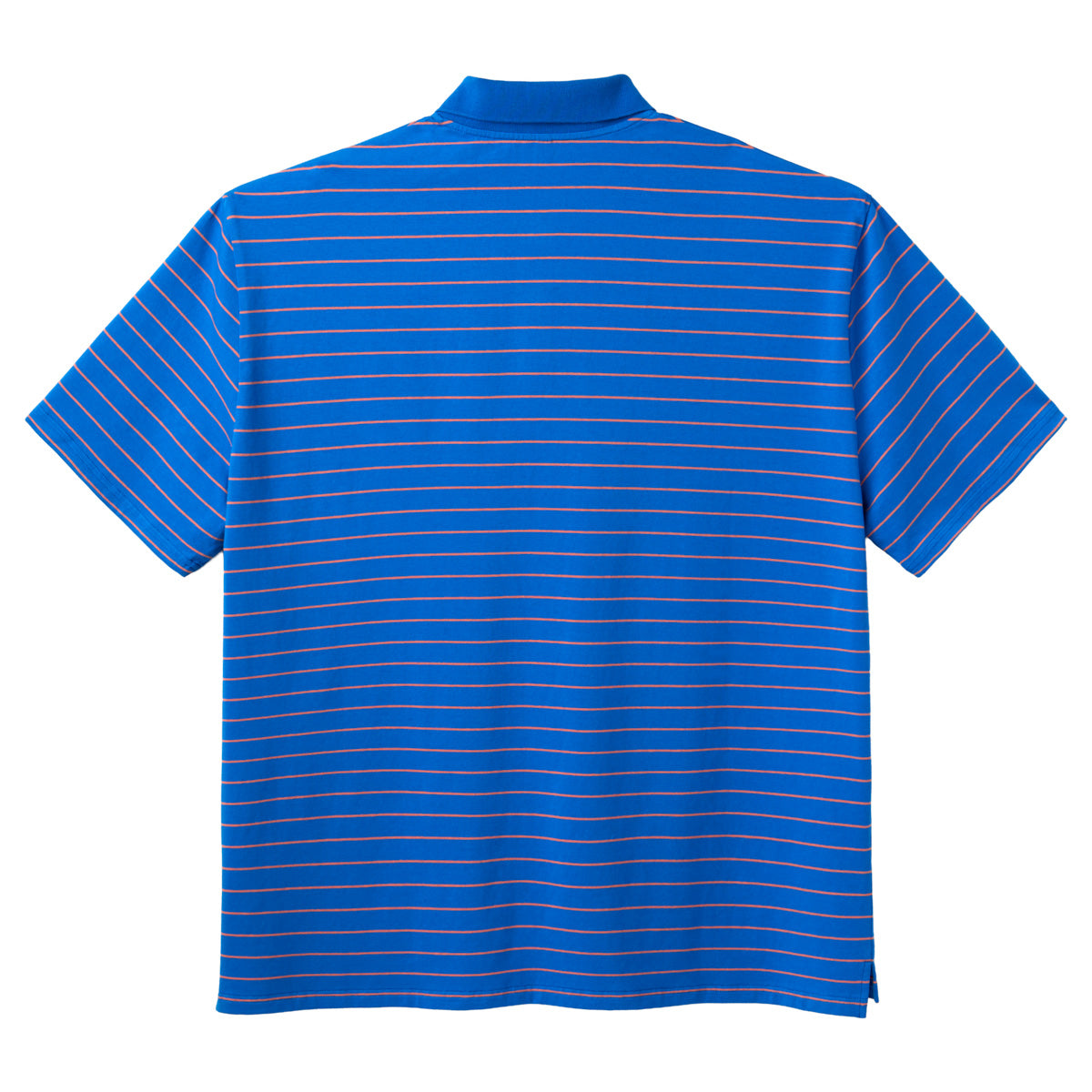 Blue Striped Polo